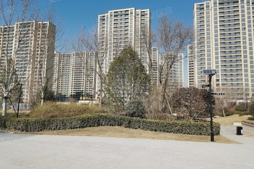 中新國際城綜合評測 優點、不足、周邊中介及物業管理分析