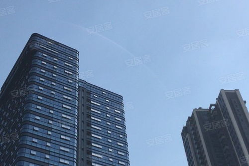 金地壹粵府綜合評析 優勢、不足與市場口碑