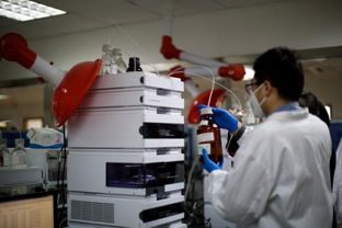 上海 中國生物醫藥創新的核心引擎