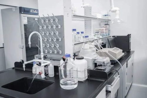 持續突破，精準制導 詩健生物的創新之旅與ADC藥物研發新篇